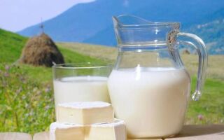 ДОГОВОР на поставку сырого молока